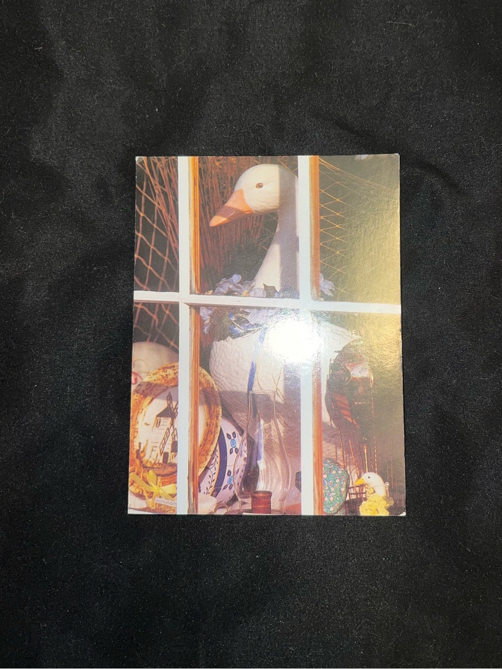 Goose Greeting Card - Picture 3 of 9